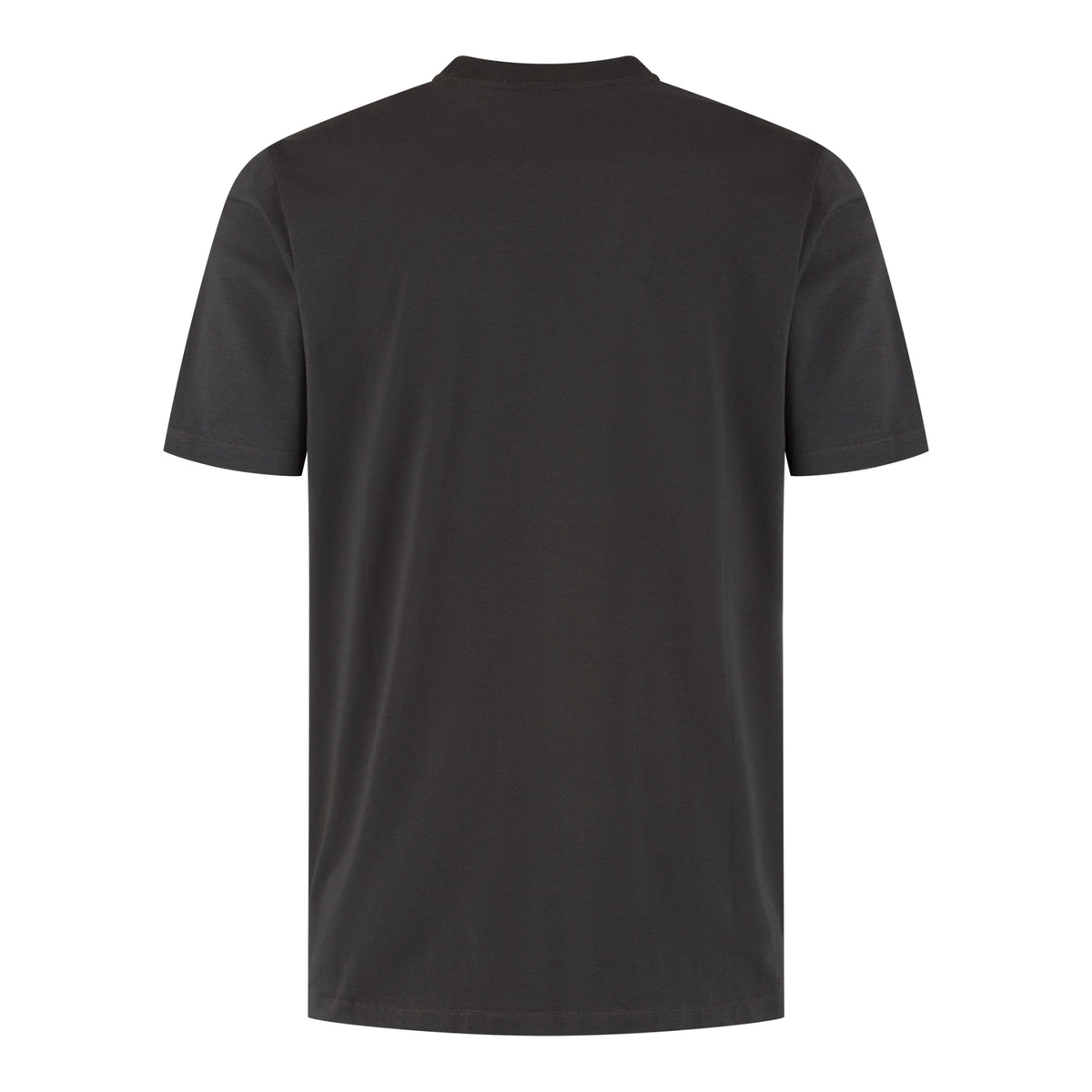 BERKLEY | Anthracite