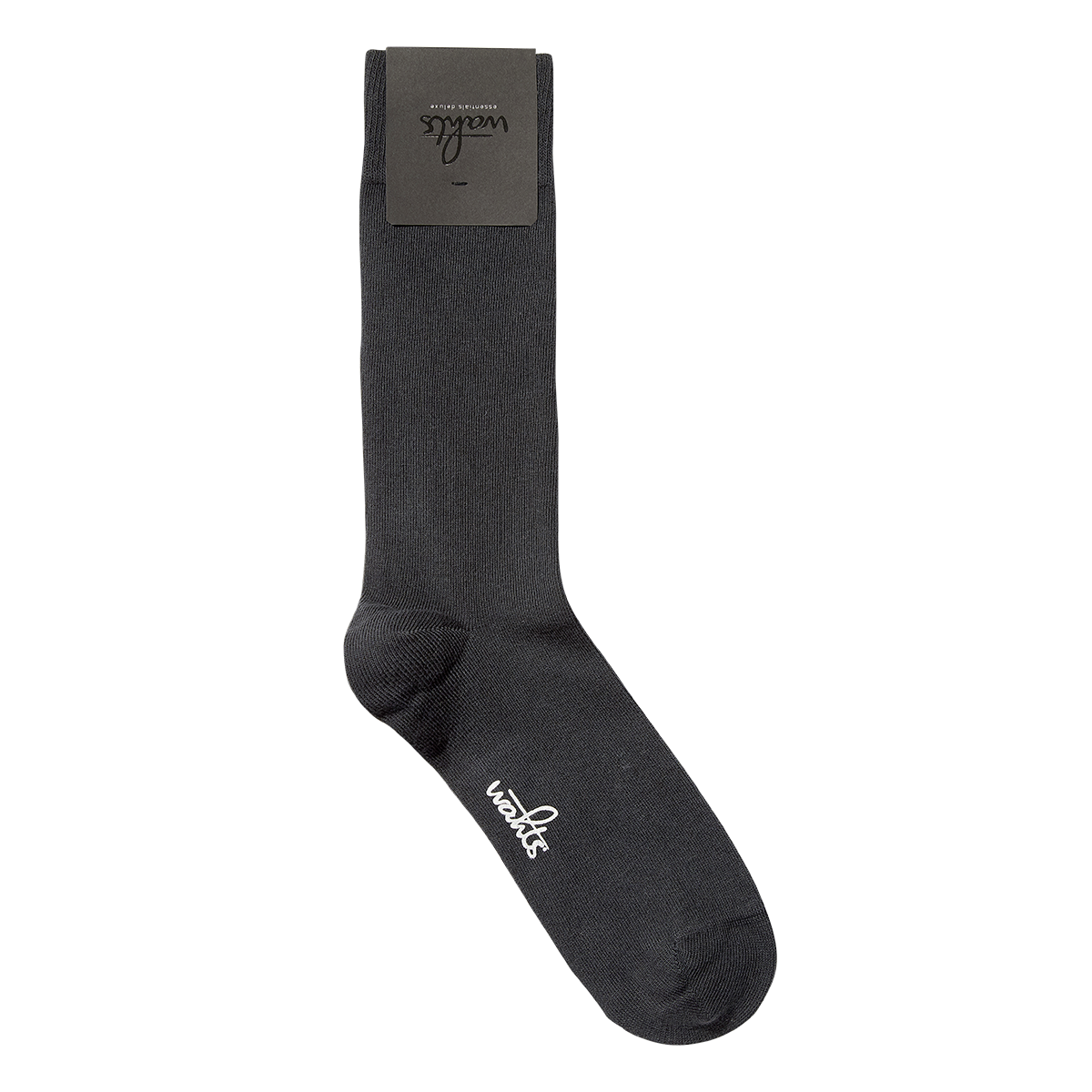 ALLENS Anthracite
